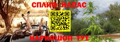 гашик Рязань